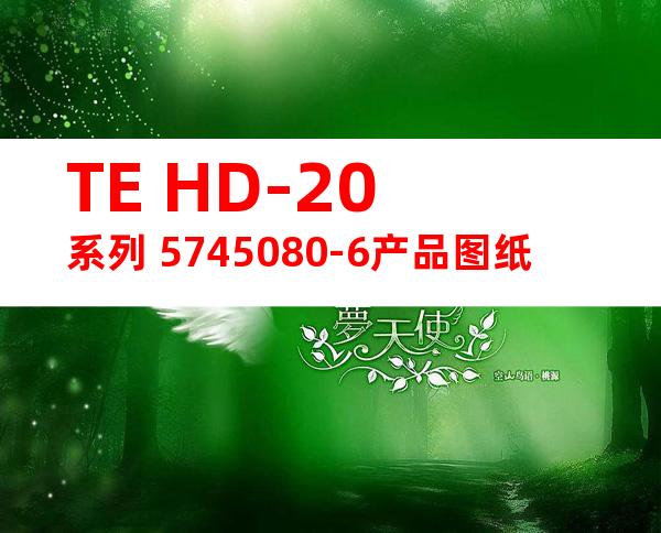 TE HD-20系列 5745080-6产品图纸